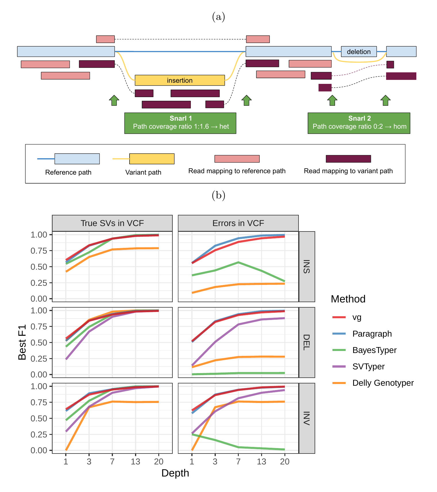 Figure 1: Structural variation in vg. a) vg uses the read coverage over possible paths to genotype variants in a snarl. The cartoon depicts the case of an heterozygous insertion and an homozygous deletion. The algorithm is described in detail in Methods. b) Simulation experiment. Each subplot shows a comparison of genotyping accuracy for five methods. Results are separated between types of variation (insertions, deletions, and inversions). The experiments were also repeated with small random errors introduced to the VCF to simulate breakpoint uncertainty. For each experiment, the x-axis is the simulated read depth and the y-axis shows the maximum F1 across different minimum quality thresholds. SVTyper cannot genotype insertions, hence the missing line in the top panels.