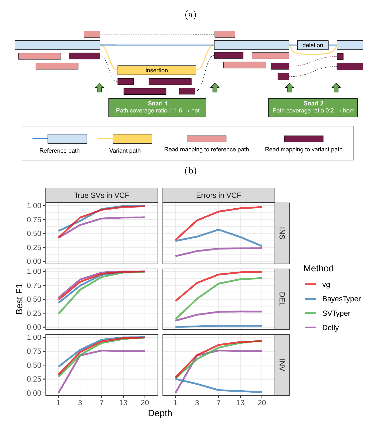 Figure 1: Structural variation in vg. a) vg uses the read coverage over possible paths to genotype variants in a bubble or more complex snarl. The cartoon depicts the case of an heterozygous insertion and an homozygous deletion. The algorithm is described in more details in Methods. b) Simulation experiment. Each subplot shows a comparison of genotyping accuracy for four SV calling methods. Results are separated between types of variation (insertions, deletions, and inversions). The experiments were also repeated with small random errors introduced to the VCF to simulate breakpoint uncertainty. For each experiment, the y-axis shows the maximum F1 across different minimum quality thresholds. SVTyper cannot genotype insertions, hence the missing line in the top panels.