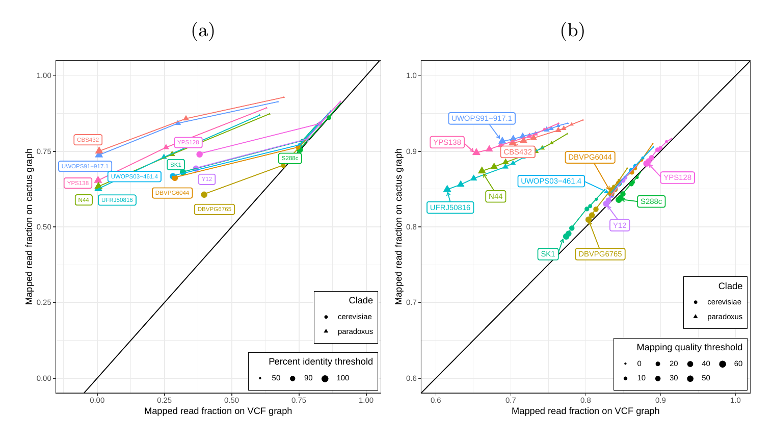 Figure S13: Mapping comparison on graphs of the all strains set. Short reads from all 12 yeast strains were aligned to both graphs. The fraction of reads mapped to the cactus graph (y-axis) and the VCF graph (x-axis) are compared. a) Stratified by percent identity threshold. b) Stratified by mapping quality threshold. Colors and shapes represent the 12 strains and two clades, respectively.